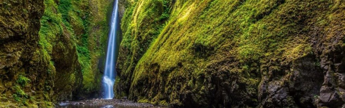 Oneonta Gorge Watering Hole