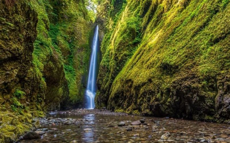 Oneonta Gorge Watering Hole